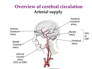 Overview of cerebral circulation
Anterior
Cerebral
artery
Middle
Cerebral
artery
Posterior
Cerebral
artery
Internal
Carotid
artery
(70% of CBF)
Vertebral
artery
Basilar
artery
30%
of
CBF
Arterial supply
 