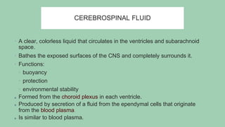Cerebral blood flow anatomy & physio.pptx