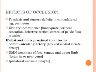 EFFECTS OF OCCLUSION
 Paralysis and sensory deficits in contralateral
  leg, perineum
 Urinary incontinence [inadequate perineal
  sensation, defective cortical control of pelvic floor
  muscles]
If obstruction is proximal to anterior
  communicating artery [blocked medial striate
  artery]
 UMN weakness of face, tongue and upper limb
  [lesion in or near genu]
 Ipsilateral anosmia [maybe]
 