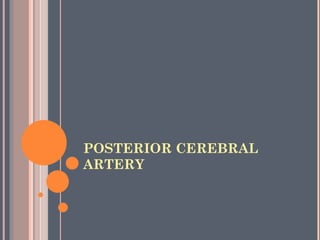 POSTERIOR CEREBRAL
ARTERY
 