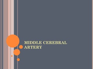 MIDDLE CEREBRAL
ARTERY
 