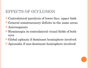 EFFECTS OF OCCLUSION
 Contralateral paralysis of lower face, upper limb
 General somatosensory deficits in the same areas

 Astereognosis

 Hemianopia in contralateral visual fields of both
  eyes
 Global aphasia if dominant hemisphere involved

 Aprosodia if non-dominant hemisphere involved
 
