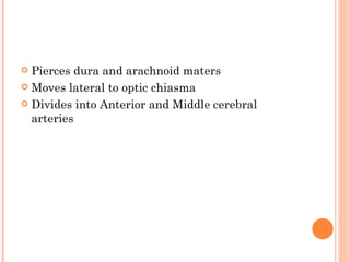  Pierces dura and arachnoid maters
 Moves lateral to optic chiasma

 Divides into Anterior and Middle cerebral
  arteries
 