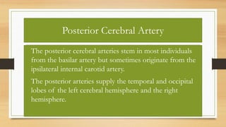 Posterior Cerebral Artery
• The posterior cerebral arteries stem in most individuals
from the basilar artery but sometimes originate from the
ipsilateral internal carotid artery.
• The posterior arteries supply the temporal and occipital
lobes of the left cerebral hemisphere and the right
hemisphere.
 