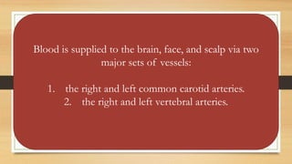 Blood is supplied to the brain, face, and scalp via two
major sets of vessels:
1. the right and left common carotid arteries.
2. the right and left vertebral arteries.
 