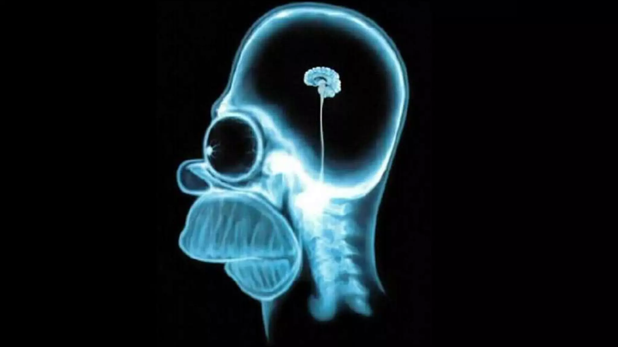 Cerebral circulation | PPTX