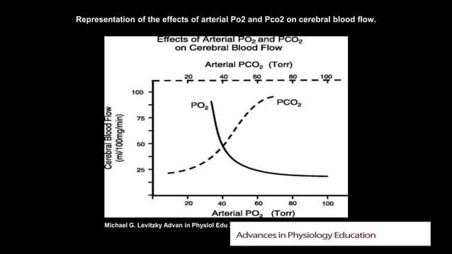 Cerebral circulation | PPTX