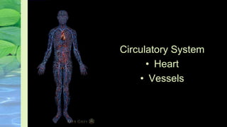Circulatory System
• Heart
• Vessels
 
