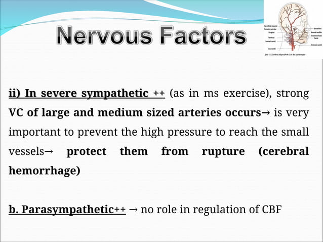 cerebral circulation : Blood Circulation of Brain.ppt