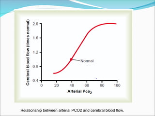 cerebral circulation : Blood Circulation of Brain.ppt
