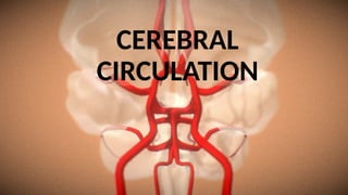 CEREBRAL CIRCULATION that how blood circulation occur | PPTX