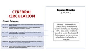 CEREBRAL CIRCULATION that how blood circulation occur | PPTX