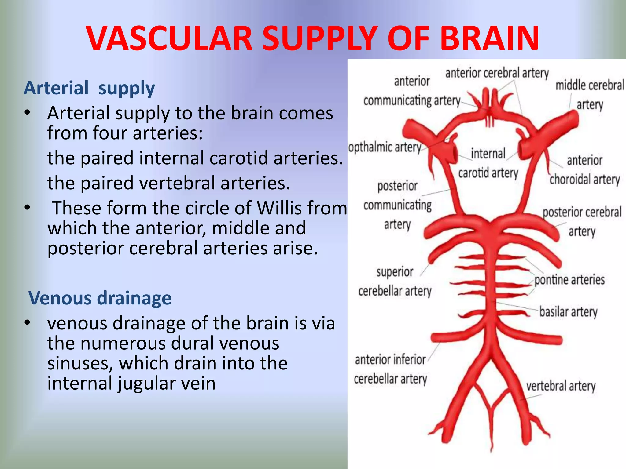 oxygen requrement cmr and cerebral circulation | PPT