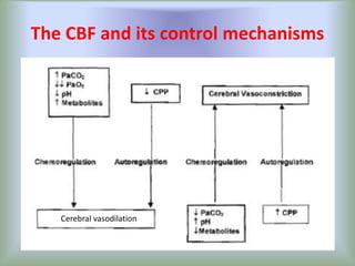 oxygen requrement cmr and cerebral circulation | PPTX