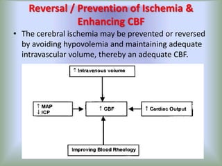 oxygen requrement cmr and cerebral circulation | PPTX