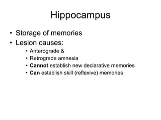 Hippocampus Storage of memories Lesion causes:  Anterograde &  Retrograde amnesia Cannot  establish new declarative memories Can  establish skill (reflexive) memories 