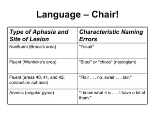 Language – Chair! "I know what it is . . . I have a lot of them."  Anomic (angular gyrus)  "Flair . . . no, swair . . . tair." Fluent (areas 40, 41, and 42; conduction aphasia) "Stool" or "choss" (neologism) Fluent (Wernicke’s area) "Tssair" Nonfluent (Broca’s area) Characteristic Naming Errors  Type of Aphasia and Site of Lesion  