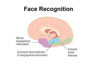 Face Recognition 