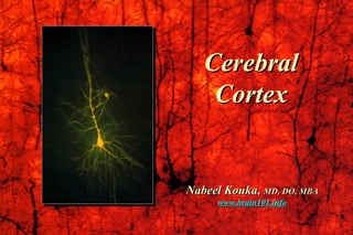Nabeel Kouka,Nabeel Kouka, MD, DO, MBAMD, DO, MBA
www.brain101.infowww.brain101.info
CerebralCerebral
CortexCortex
 