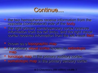 Cerebral cortex | PPT
