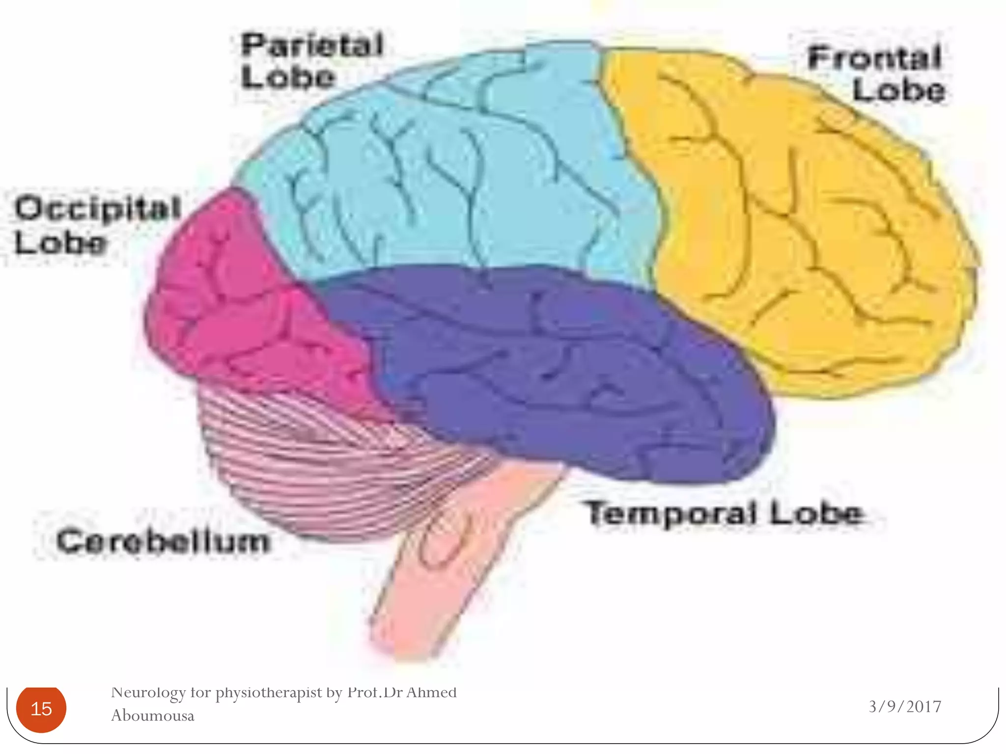 3/9/2017
Neurology for physiotherapist by Prof.DrAhmed
Aboumousa15
 
