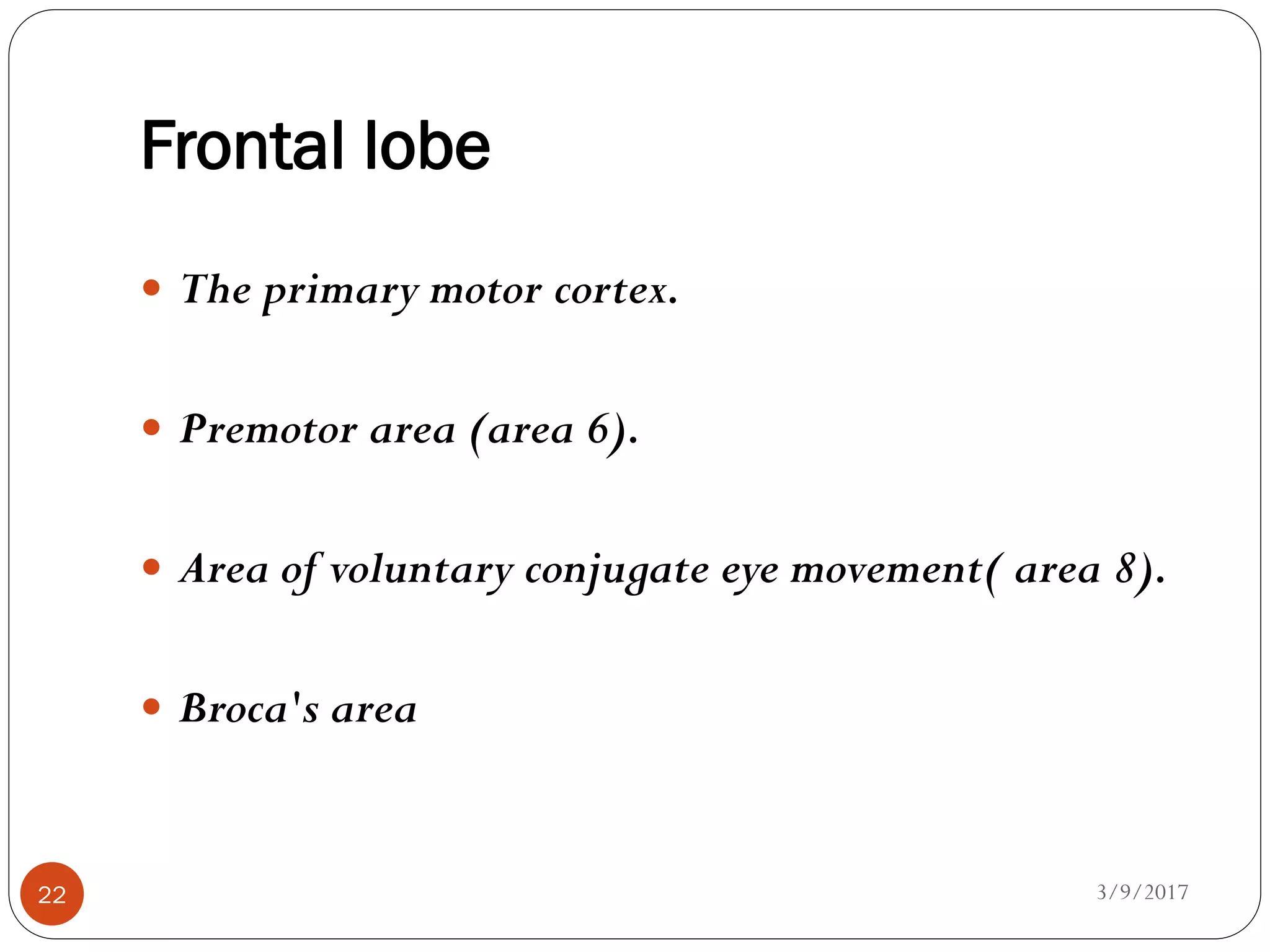 Frontal lobe
3/9/201722
 The primary motor cortex.
 Premotor area (area 6).
 Area of voluntary conjugate eye movement( area 8).
 Broca's area
 