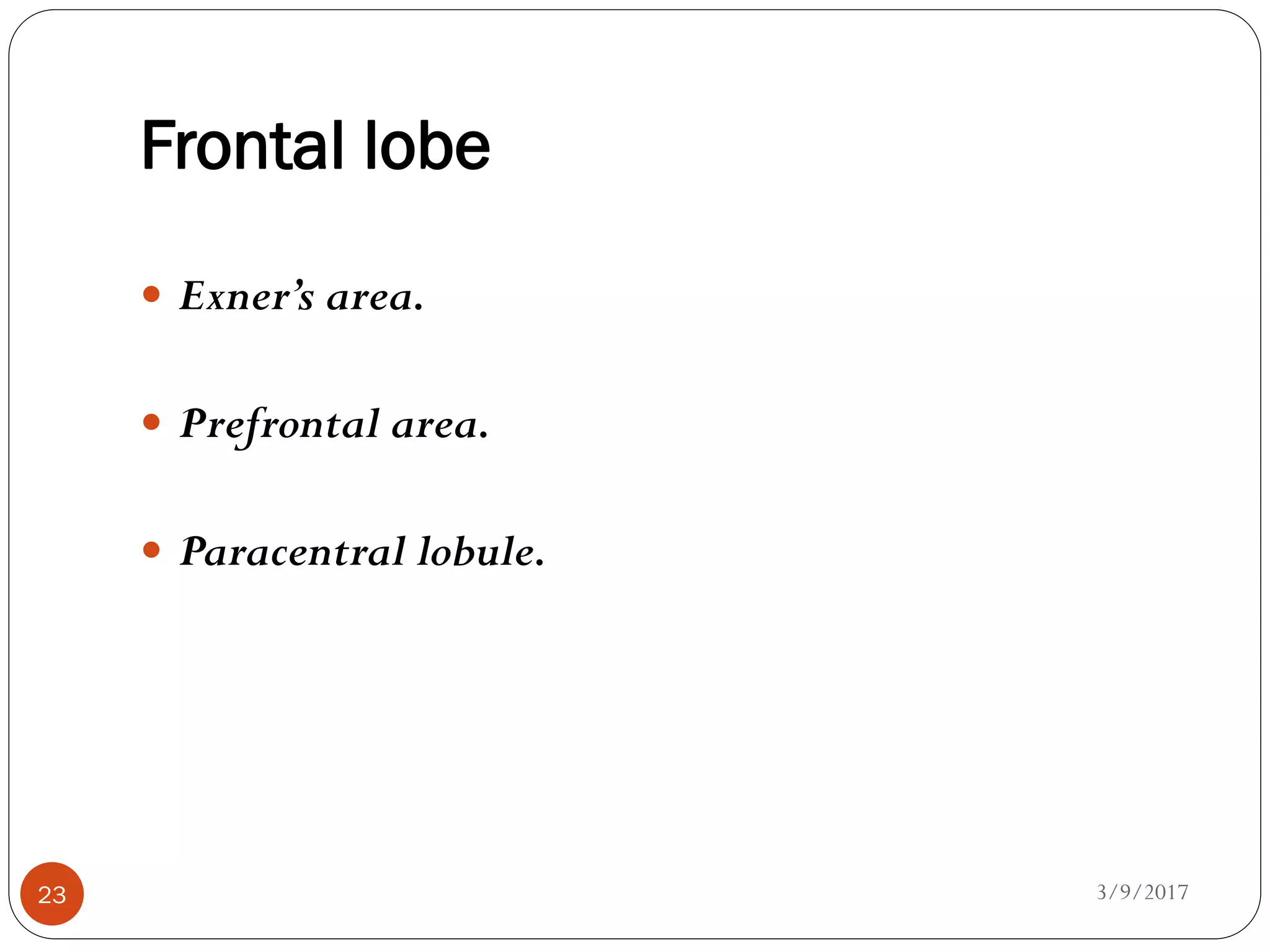 Frontal lobe
3/9/201723
 Exner’s area.
 Prefrontal area.
 Paracentral lobule.
 