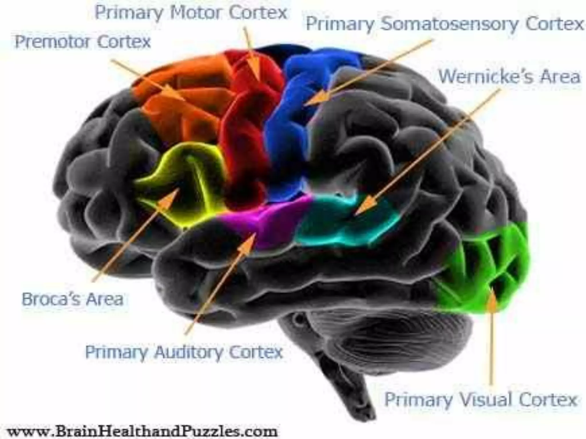 3/9/2017
Neurology for physiotherapist by Prof.DrAhmed
Aboumousa26
 
