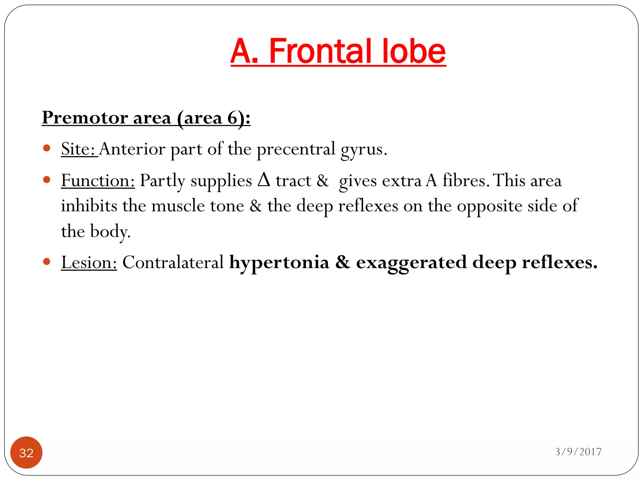 A. Frontal lobe
3/9/201732
Premotor area (area 6):
 Site:Anterior part of the precentral gyrus.
 Function: Partly supplies Δ tract & gives extra A fibres.This area
inhibits the muscle tone & the deep reflexes on the opposite side of
the body.
 Lesion: Contralateral hypertonia & exaggerated deep reflexes.
 