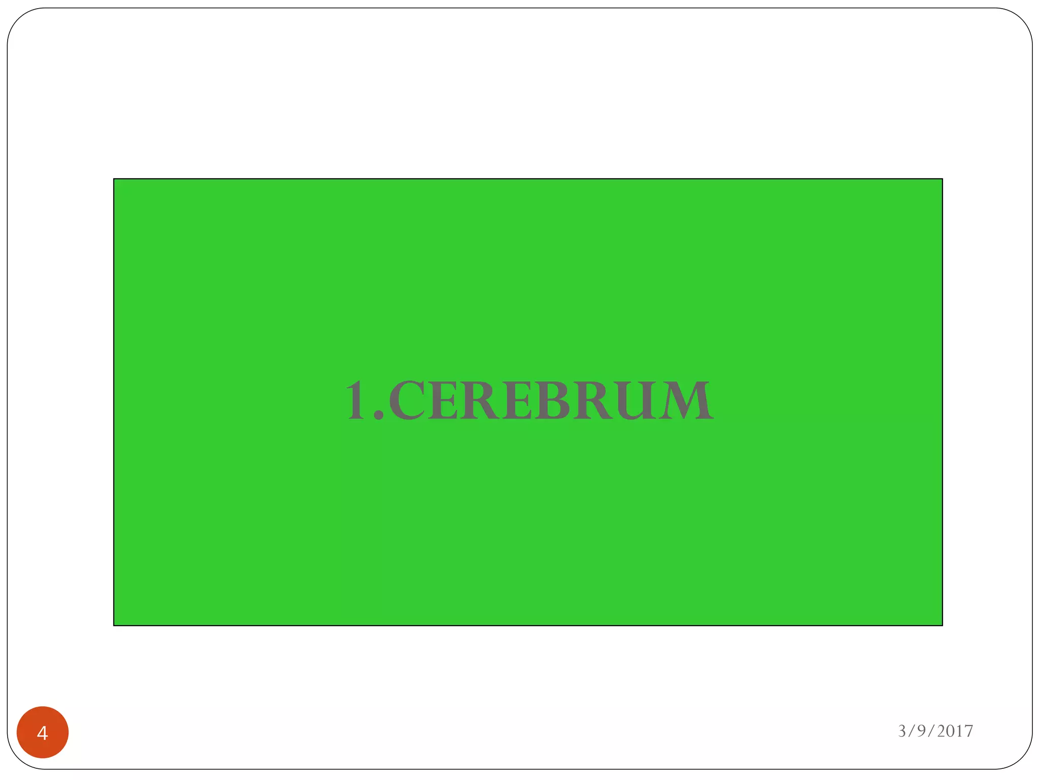 3/9/20174
1.CEREBRUM
 