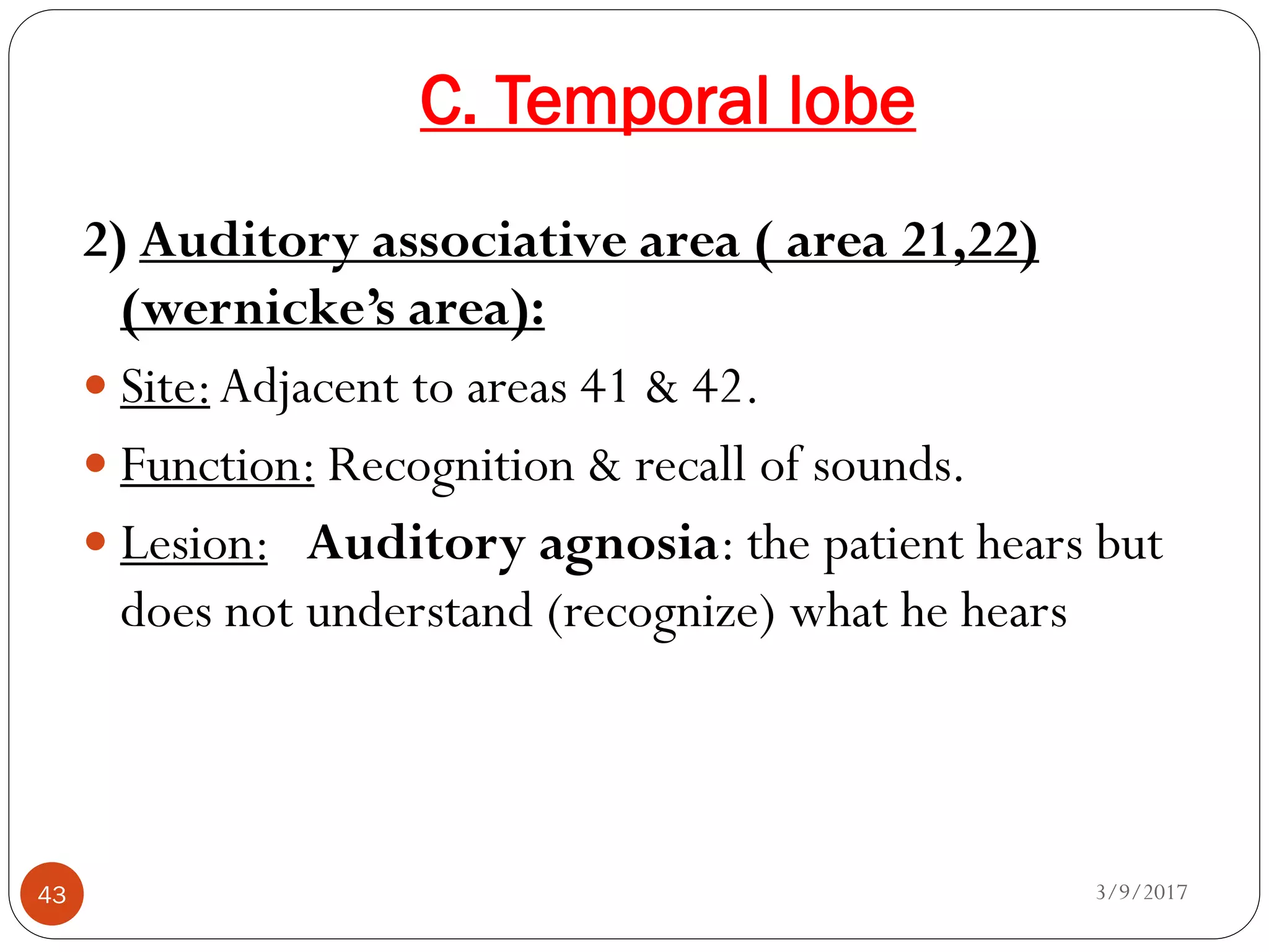 C. Temporal lobe
3/9/201743
2) Auditory associative area ( area 21,22)
(wernicke’s area):
 Site:Adjacent to areas 41 & 42.
 Function: Recognition & recall of sounds.
 Lesion: Auditory agnosia: the patient hears but
does not understand (recognize) what he hears
 