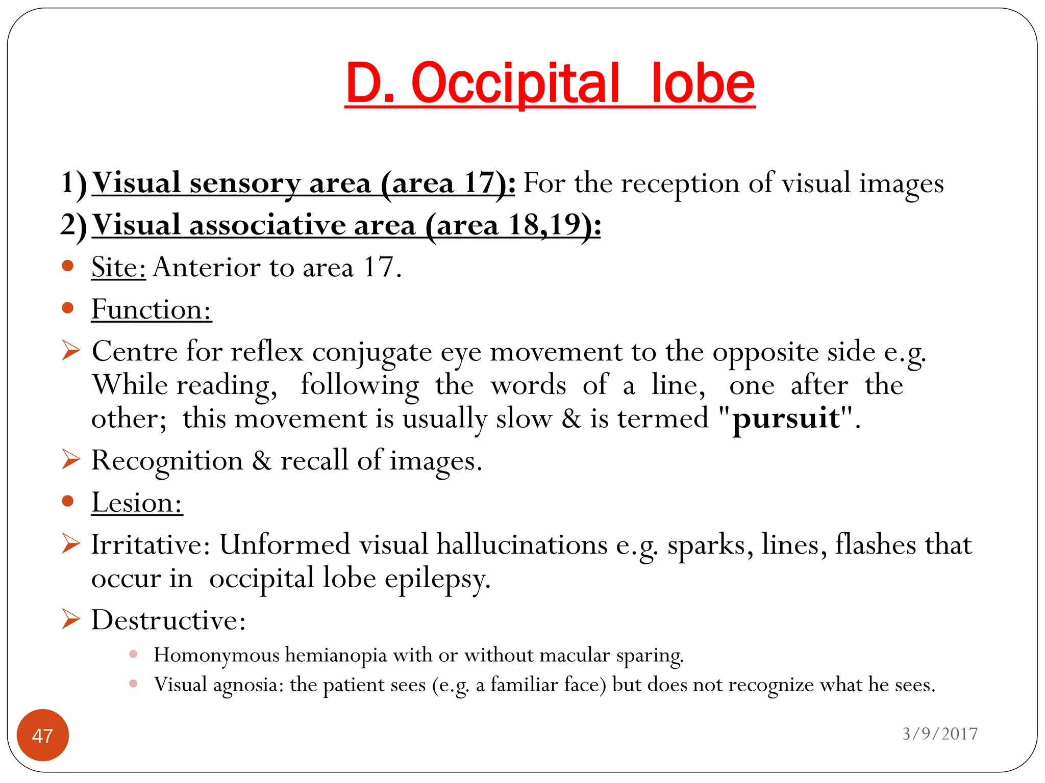 D. Occipital lobe
3/9/201747
1)Visual sensory area (area 17): For the reception of visual images
2)Visual associative area (area 18,19):
 Site:Anterior to area 17.
 Function:
 Centre for reflex conjugate eye movement to the opposite side e.g.
While reading, following the words of a line, one after the
other; this movement is usually slow & is termed "pursuit''.
 Recognition & recall of images.
 Lesion:
 Irritative: Unformed visual hallucinations e.g. sparks, lines, flashes that
occur in occipital lobe epilepsy.
 Destructive:
 Homonymous hemianopia with or without macular sparing.
 Visual agnosia: the patient sees (e.g. a familiar face) but does not recognize what he sees.
 