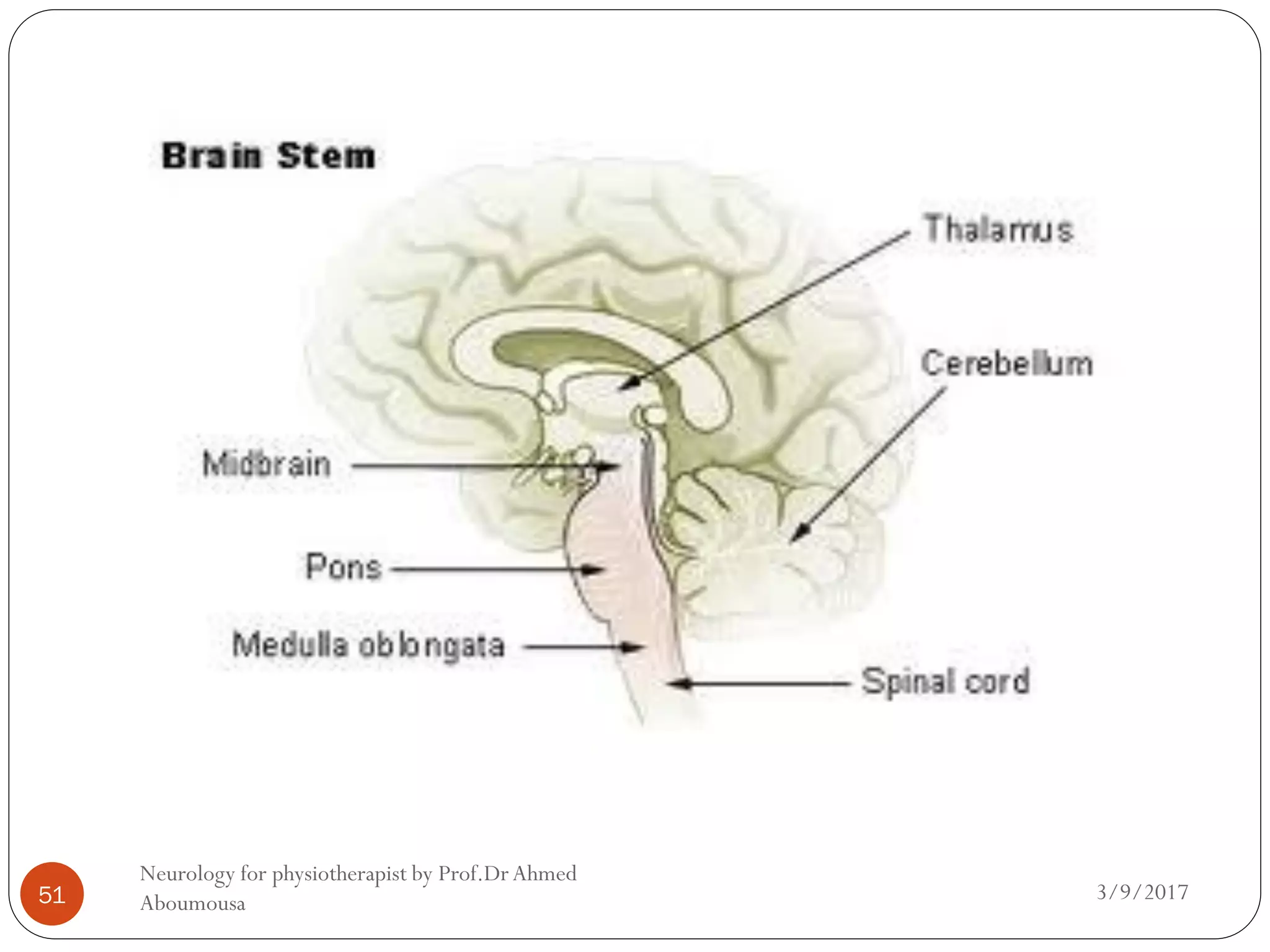 3/9/2017
Neurology for physiotherapist by Prof.DrAhmed
Aboumousa51
 