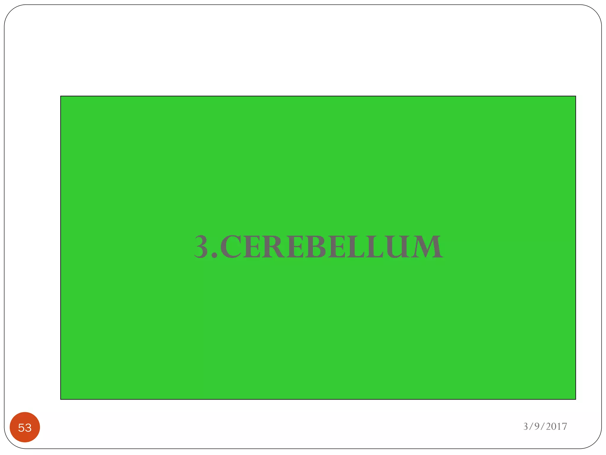 3/9/201753
3.CEREBELLUM
 