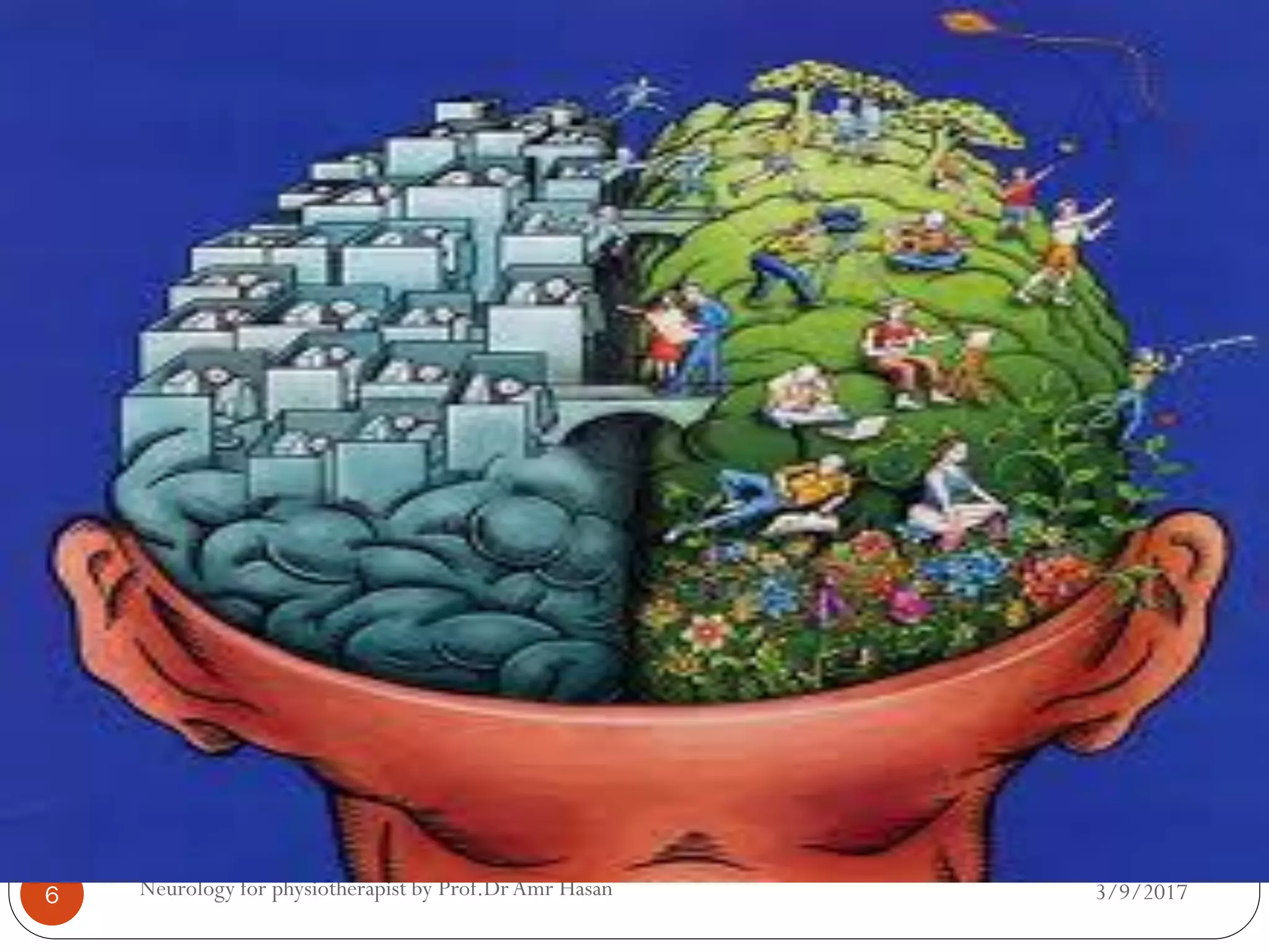 3/9/2017Neurology for physiotherapist by Prof.DrAmr Hasan6
 