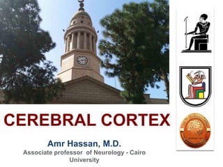 Amr Hassan, M.D.
Associate professor of Neurology - Cairo
University
CEREBRAL CORTEX
 