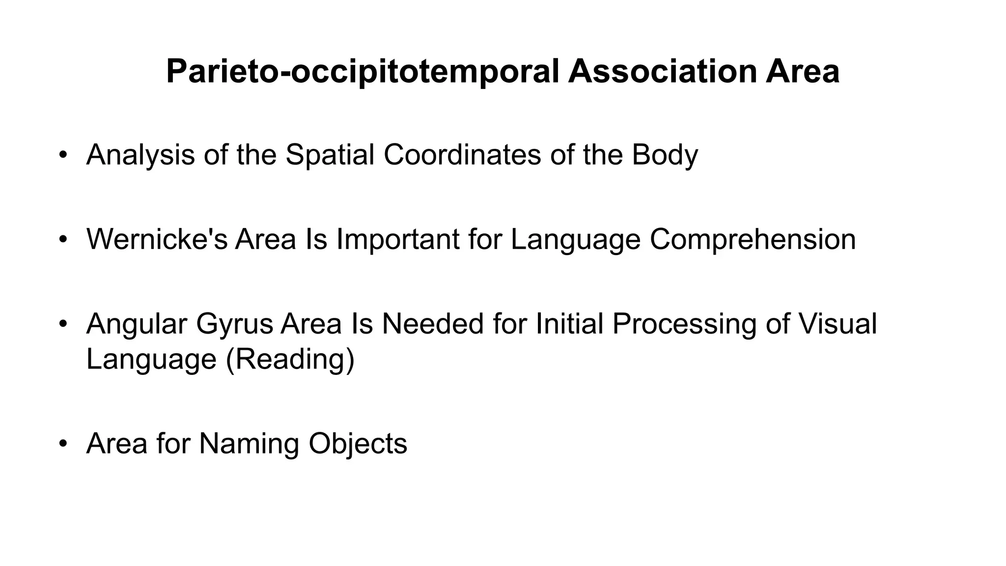 Parieto-occipitotemporal Association Area
• Analysis of the Spatial Coordinates of the Body
• Wernicke's Area Is Important for Language Comprehension
• Angular Gyrus Area Is Needed for Initial Processing of Visual
Language (Reading)
• Area for Naming Objects
 