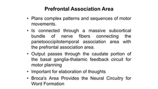 Prefrontal Association Area
• Plans complex patterns and sequences of motor
movements.
• Is connected through a massive subcortical
bundle of nerve fibers connecting the
parietooccipitotemporal association area with
the prefrontal association area.
• Output passes through the caudate portion of
the basal ganglia-thalamic feedback circuit for
motor planning
• Important for elaboration of thoughts
• Broca's Area Provides the Neural Circuitry for
Word Formation
 