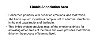 Limbic Association Area
• Concerned primarily with behavior, emotions, and motivation.
• The limbic system includes a complex set of neuronal structures
in the mid basal regions of the brain.
• This limbic system provides most of the emotional drives for
activating other areas of the brain and even provides motivational
drive for the process of learning itself.
 