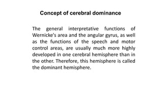 Concept of cerebral dominance
The general interpretative functions of
Wernicke's area and the angular gyrus, as well
as the functions of the speech and motor
control areas, are usually much more highly
developed in one cerebral hemisphere than in
the other. Therefore, this hemisphere is called
the dominant hemisphere.
 