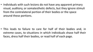 • Individuals with such lesions do not have any apparent primary
visual, auditory, or somatesthetic defects, but they ignore stimuli
from the contralateral portion of their bodies or the space
around these portions.
• This leads to failure to care for half of their bodies and, in
extreme cases, to situations in which individuals shave half their
faces, dress half their bodies, or read half of each page.
 