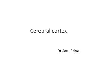 Cerebral cortex
Dr Anu Priya J
 