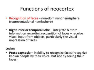 Cerebral cortex | PPTX
