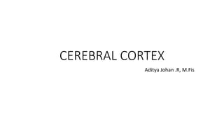 CEREBRAL CORTEX
Aditya Johan .R, M.Fis
 