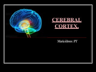 Mariaidrees:PT
CEREBRAL
CORTEX.
 