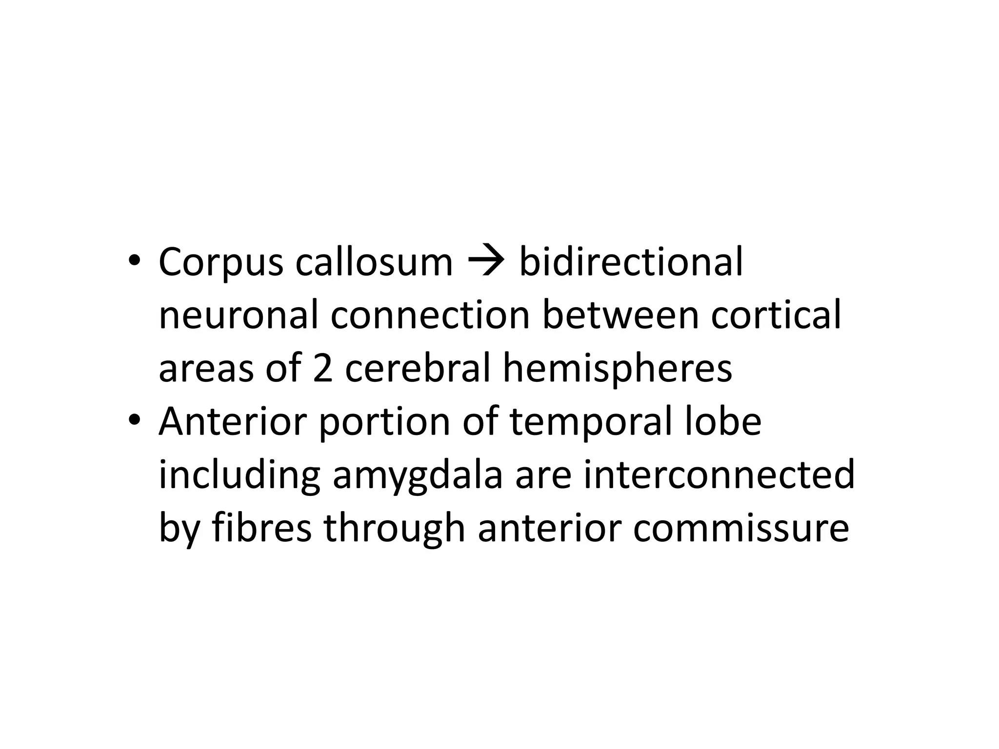 • Corpus callosum → bidirectional
neuronal connection between cortical
areas of 2 cerebral hemispheres
• Anterior portion of temporal lobe
including amygdala are interconnected
by fibres through anterior commissure
 