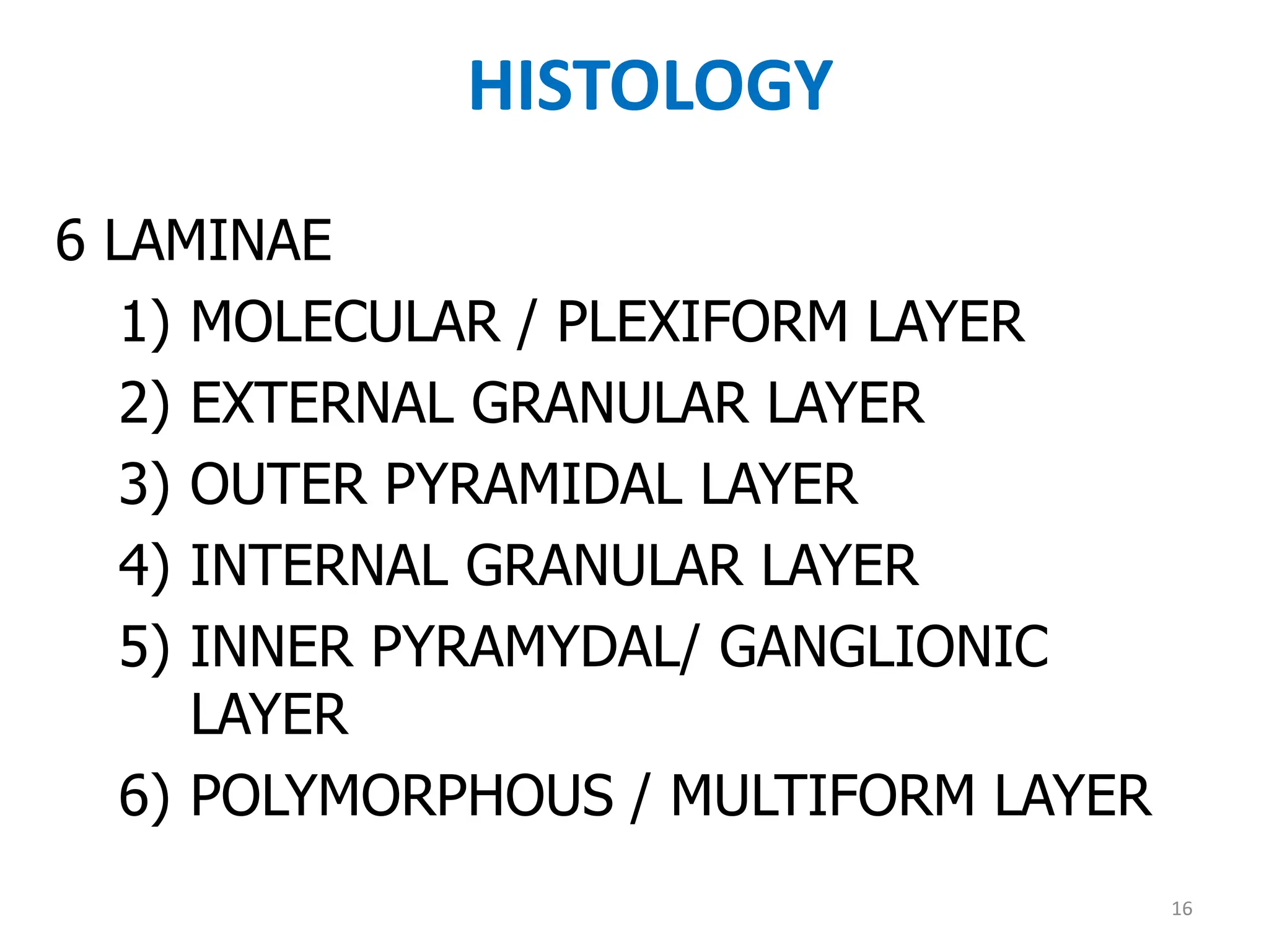 HISTOLOGY
6 LAMINAE
1) MOLECULAR / PLEXIFORM LAYER
2) EXTERNAL GRANULAR LAYER
3) OUTER PYRAMIDAL LAYER
4) INTERNAL GRANULAR LAYER
5) INNER PYRAMYDAL/ GANGLIONIC
LAYER
6) POLYMORPHOUS / MULTIFORM LAYER
16
 