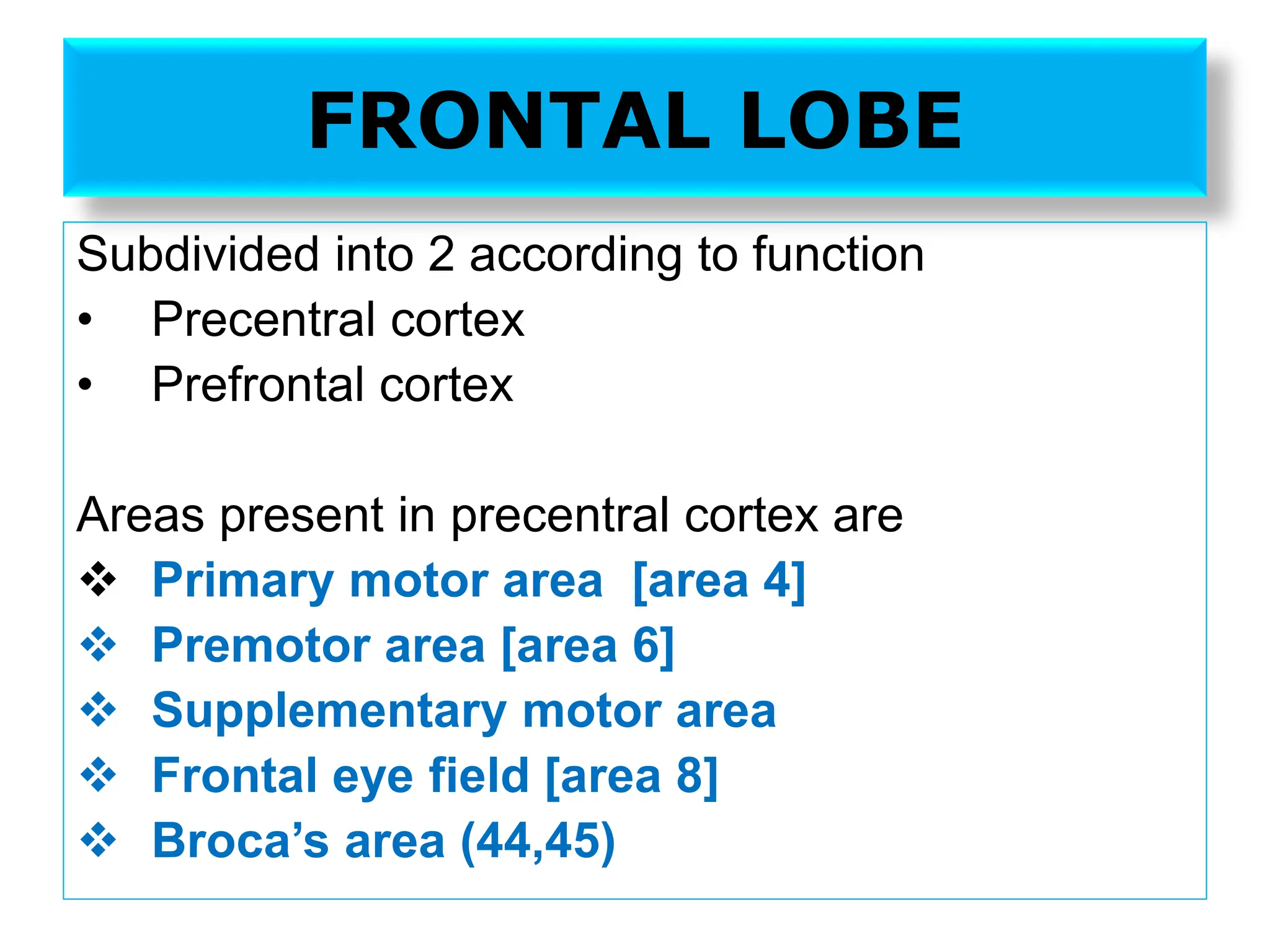 FRONTAL LOBE
Subdivided into 2 according to function
• Precentral cortex
• Prefrontal cortex
Areas present in precentral cortex are
❖ Primary motor area [area 4]
❖ Premotor area [area 6]
❖ Supplementary motor area
❖ Frontal eye field [area 8]
❖ Broca’s area (44,45)
 