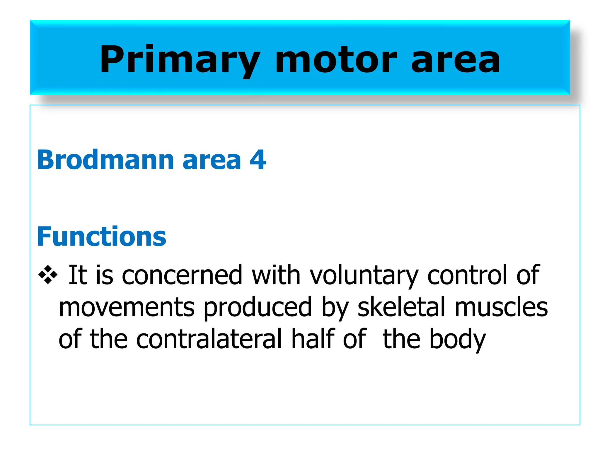 Primary motor area
Brodmann area 4
Functions
❖ It is concerned with voluntary control of
movements produced by skeletal muscles
of the contralateral half of the body
 