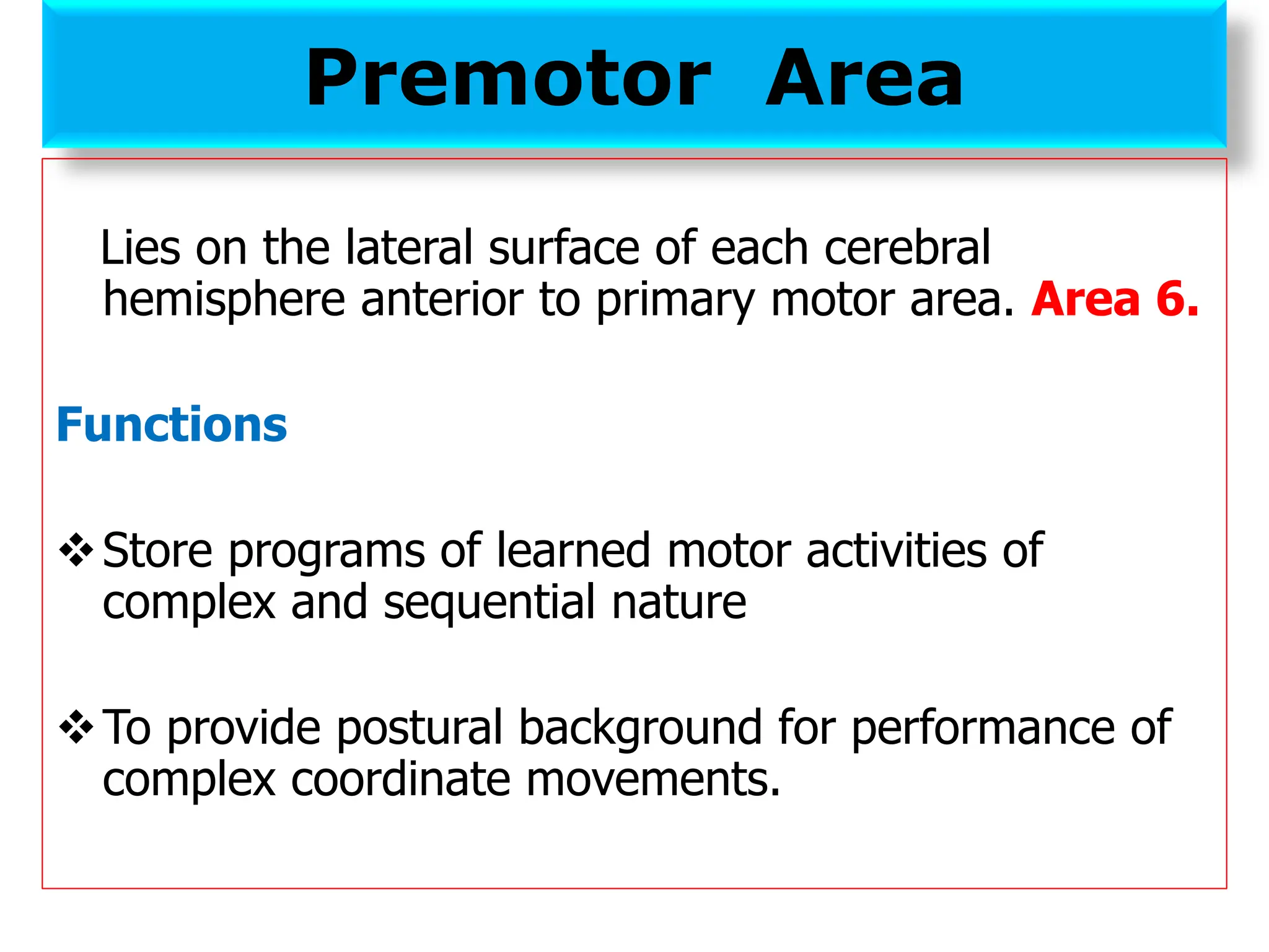 Premotor Area
Lies on the lateral surface of each cerebral
hemisphere anterior to primary motor area. Area 6.
Functions
❖Store programs of learned motor activities of
complex and sequential nature
❖To provide postural background for performance of
complex coordinate movements.
 